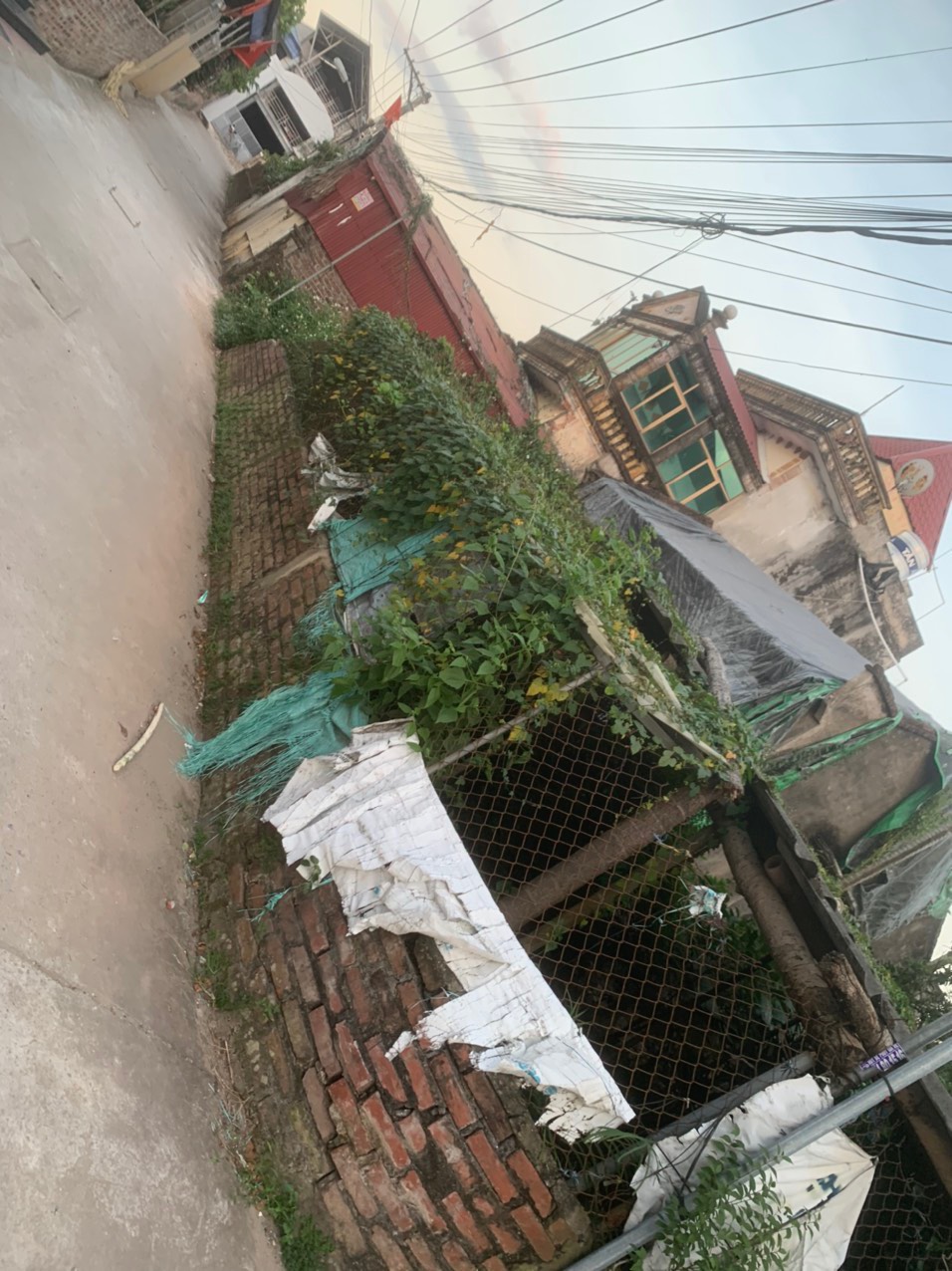 Cần bán đất tại xã Liên Nghĩa, Văn Giang, Hưng Yên.DT 534m2 giá 21 triệu/m2 13471842