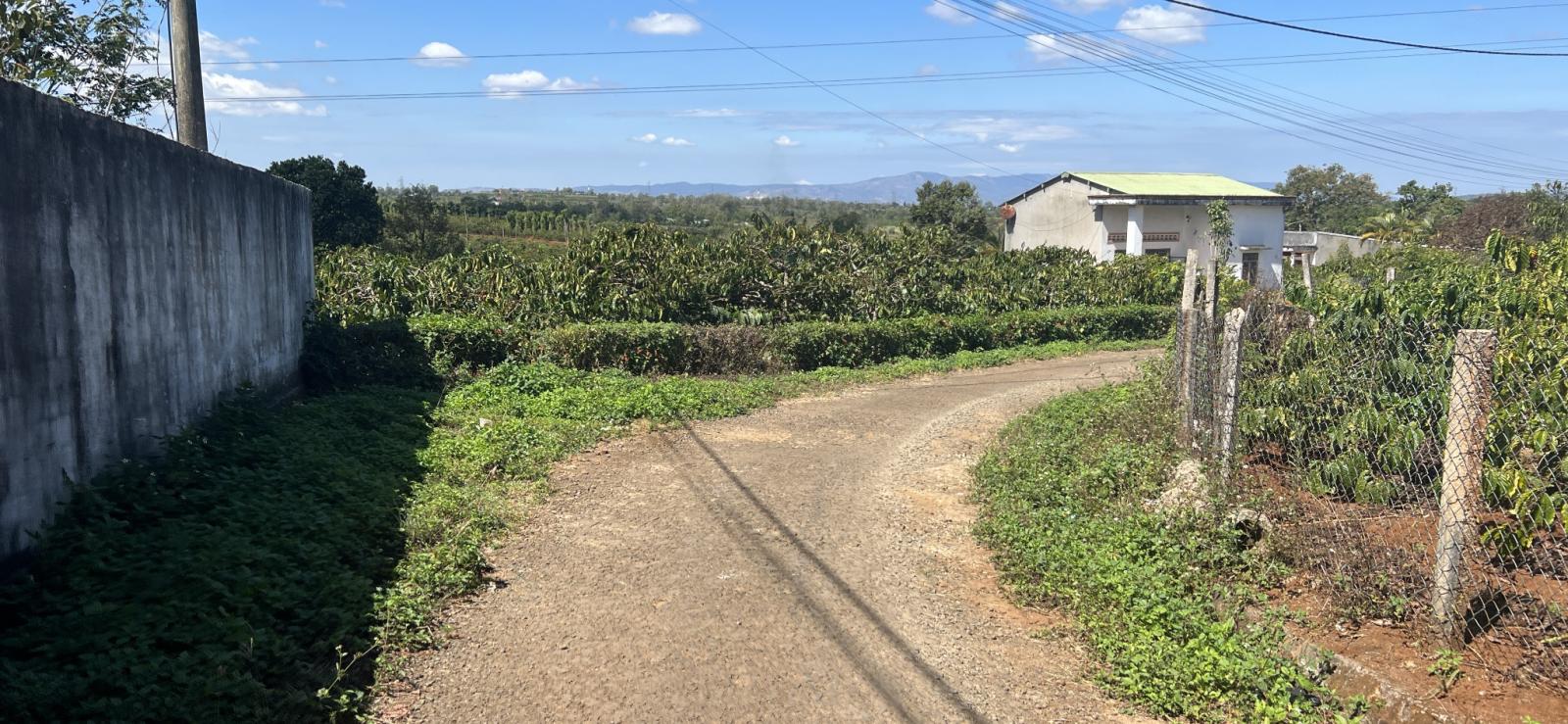 Đất Thôn 7 -Nghĩa Hưng -1sao1 giá ĐẦU TƯ 13484225