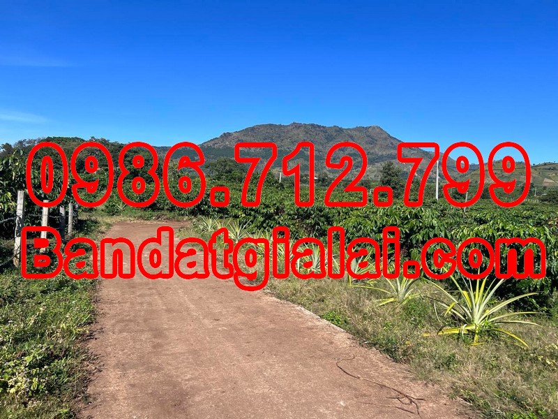 ⭐️ BÁN 300 LÔ ĐẤT GIA LAI ⭐️ ĐẤT CHƯ ĐĂNG YA - GIÁ CHÍNH CHỦ ⭐️ 13491747