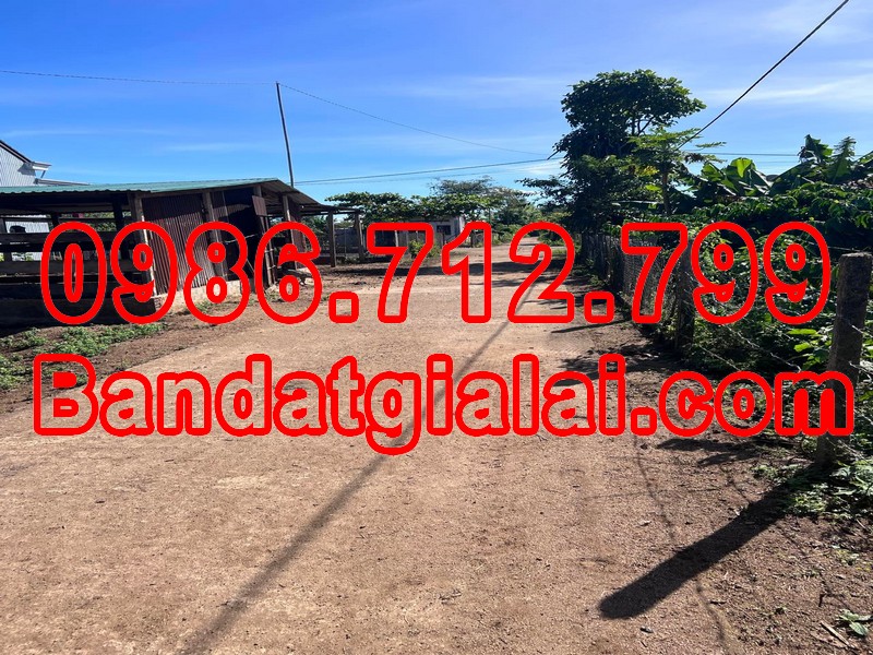 ⭐️ BÁN 300 LÔ ĐẤT GIA LAI ⭐️ ĐẤT CHƯ ĐĂNG YA - GIÁ CHÍNH CHỦ ⭐️ 13491747