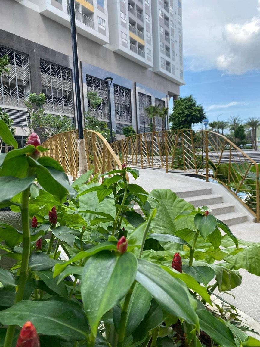 CHO THUÊ CĂN HỘ CAO CẤP 2PN67M2 Q7 RIVERSIDE 7.2TR 13502451