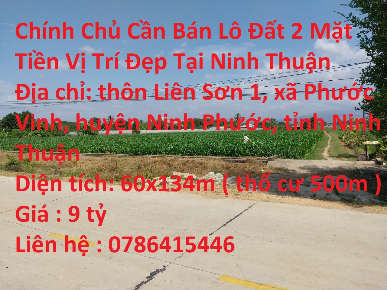 Chính Chủ Cần Bán Lô Đất 2 Mặt Tiền Vị Trí Đẹp Tại Ninh Thuận 13504242
