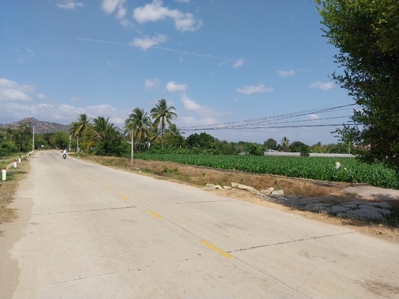 Chính Chủ Cần Bán Lô Đất 2 Mặt Tiền Vị Trí Đẹp Tại Ninh Thuận 13504258