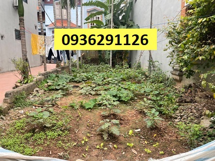 ⭐Chính chủ bán đất lô góc tại An Thắng, Hà Đông, 43tr/m2; 0936291126
 13515382