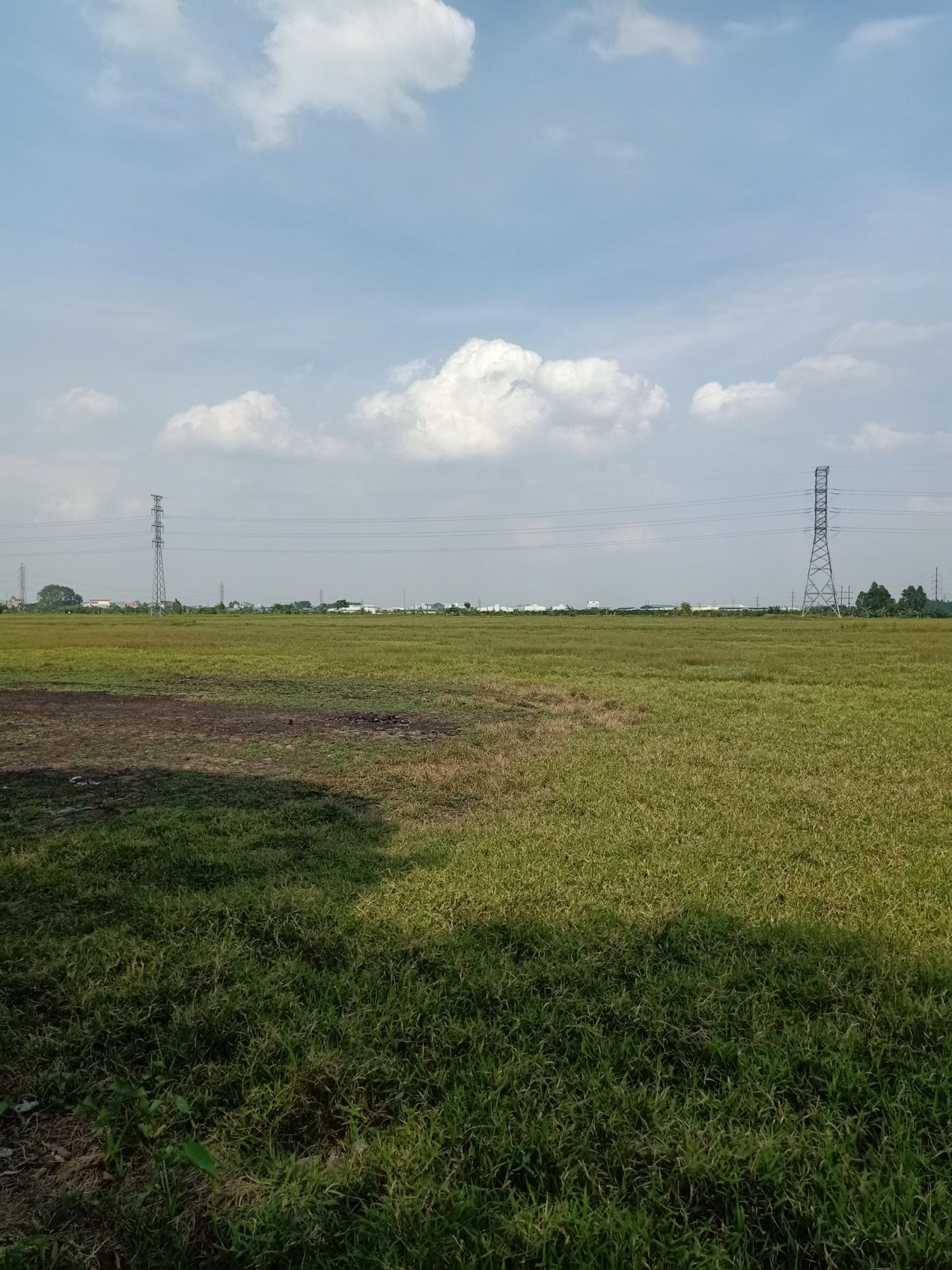 Bán 35ha đất công nghiệp 50 năm tại KCN Nam Sách, Tỉnh Hải Dương 13516243