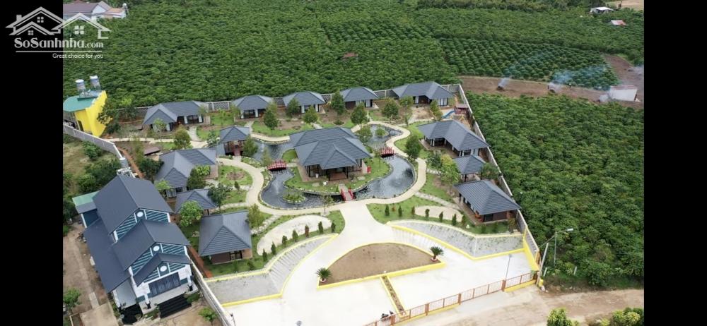 CHÍNH CHỦ CẦN BÁN KHU NGHỈ DƯỠNG HOMESTAY PHƯƠNG ĐÔNG GARDEN - NƠI LÝ TƯỞNG ĐỂ TẬN HƯỞNG CUỘC SỐNG 13518137