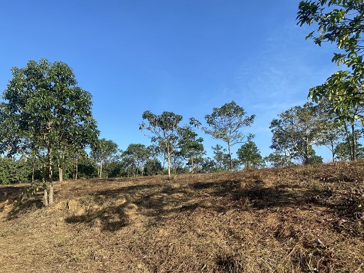 CẦN BÁN LÔ ĐẤT ĐẸP TẠI  Xã Lộc Nam - Huyện Bảo Lâm - Lâm Đồng 13530679