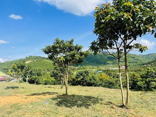 CẦN BÁN LÔ ĐẤT ĐẸP TẠI  Xã Lộc Nam - Huyện Bảo Lâm - Lâm Đồng 13530679