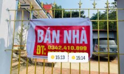 Cần Bán nhà Gấp Tại Yên Sơn 2 ,Xã Thành Yên ,Huyện Thạch Thành ,Tỉnh Thanh Hoá 13533560