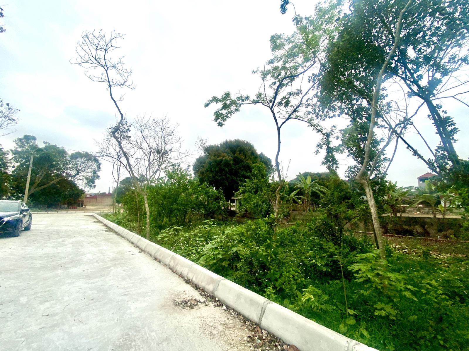 Cần bán nhanh lô đất full thổ cư tại thôn Thái Bình,xã Mai Lâm,huyện Đông Anh,HN 13535006