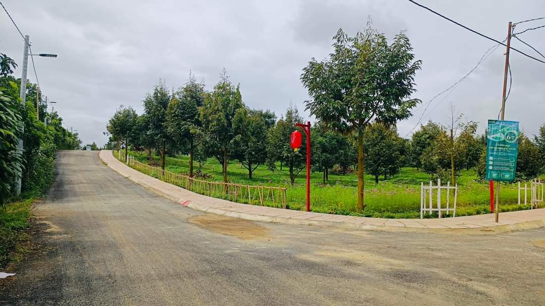 BÁN ĐẤT TẶNG NHÀ TẠI TAKA GARDEN HILL TP BẢO LỘC, SỔ ĐỎ CẦM TAY, GIÁ HƠN TỶ XÍU 13563152