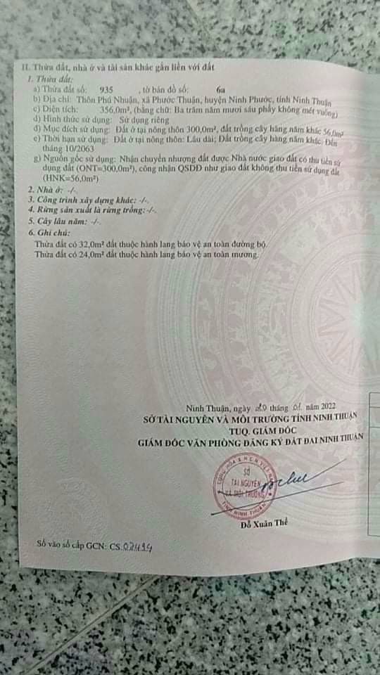 Sở Hữu Ngay Lô Đất Đẹp Vị Trí Đắc Địa Tại Xã Phước Thuận, Huyện Ninh Phước, Ninh Thuận 13573885