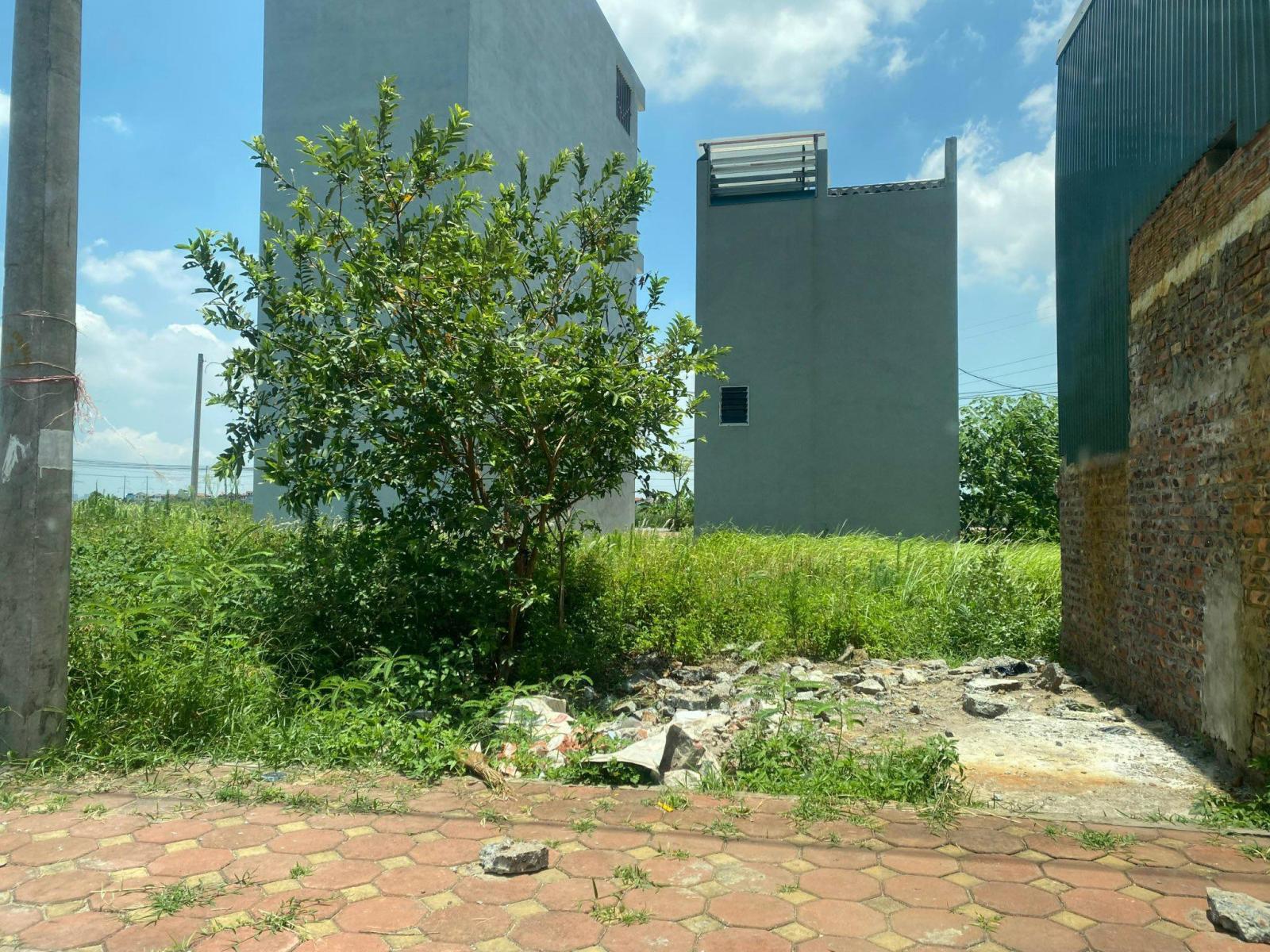 BÁN ĐẤT ĐẤU GIÁ Ở ĐÔNG ANH 13578342