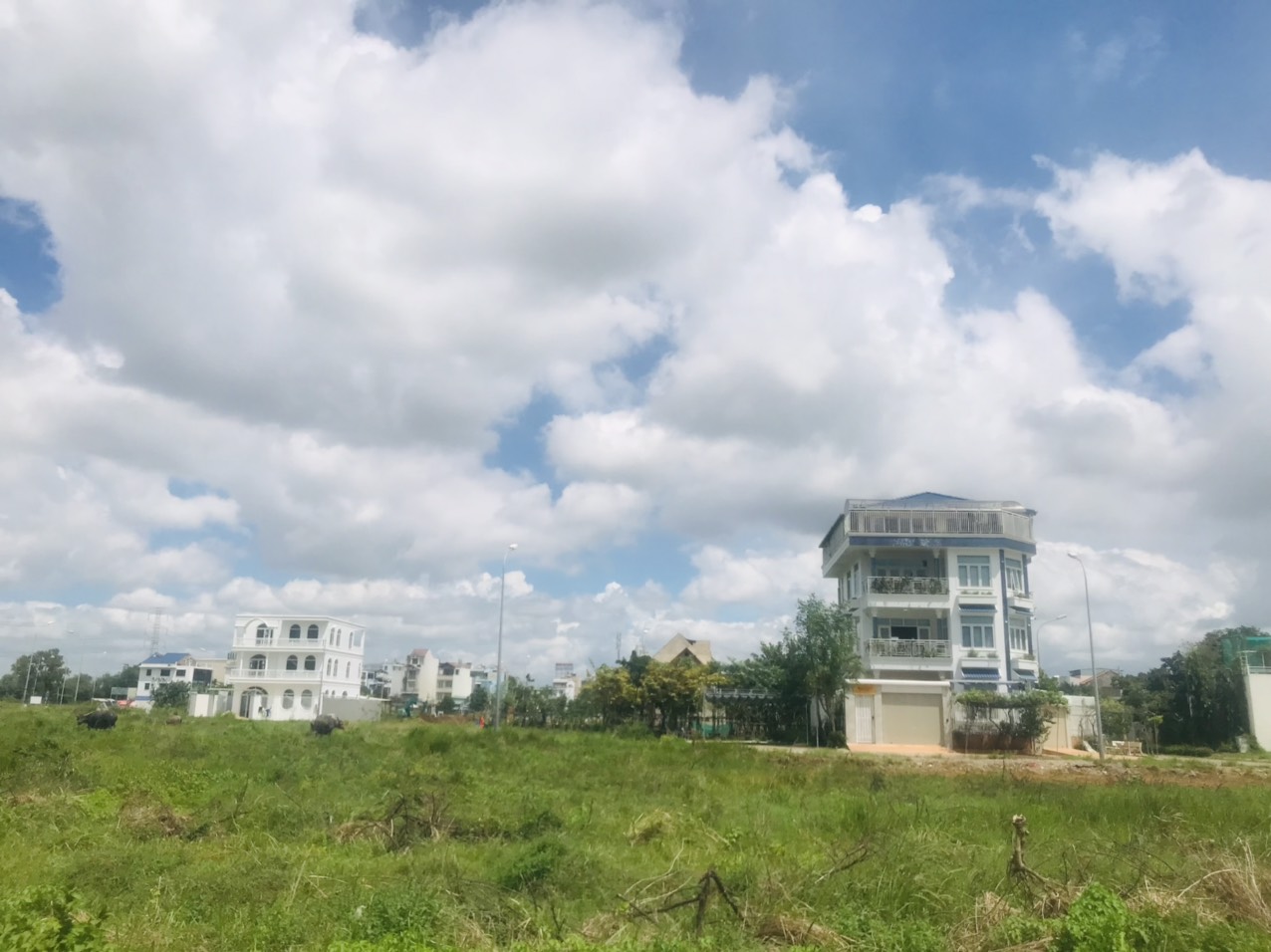 Săn ngay lô đất nền dự án khu dân cư Phú Nhuận -Phước Long B , Q9, đường 20m giá 60 tr/m2 13579171