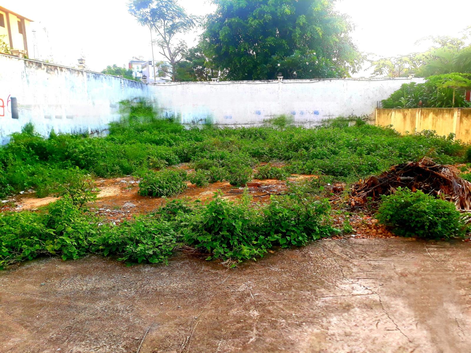 CỰC HOT ĐẤT TRUNG TÂM TRƯỜNG THỌ CHỈ 50TRIỆU/M2, THUỘC ĐƯỜNG SỐ 3 CỰC KỲ NHIỀU TIỆN ÍCH, PHÙ HỢP 13584532