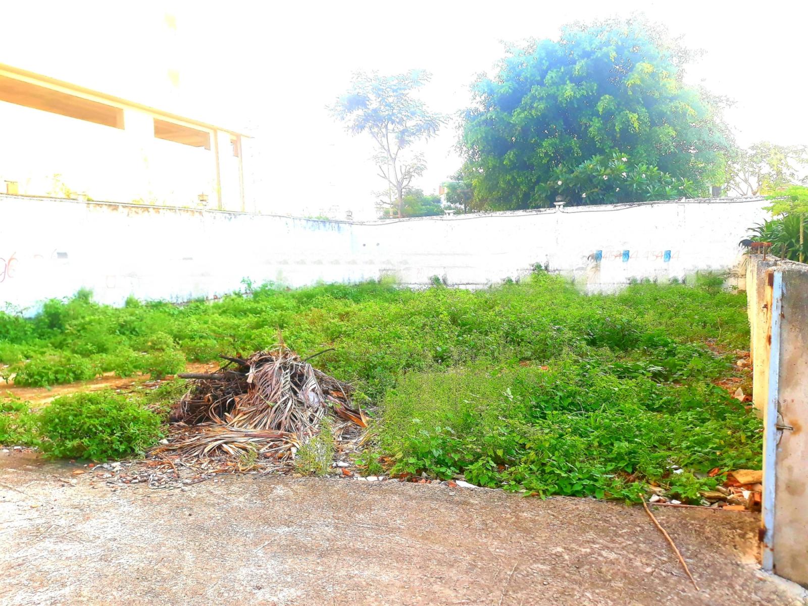 CỰC HOT ĐẤT TRUNG TÂM TRƯỜNG THỌ CHỈ 50TRIỆU/M2, THUỘC ĐƯỜNG SỐ 3 CỰC KỲ NHIỀU TIỆN ÍCH, PHÙ HỢP 13584532