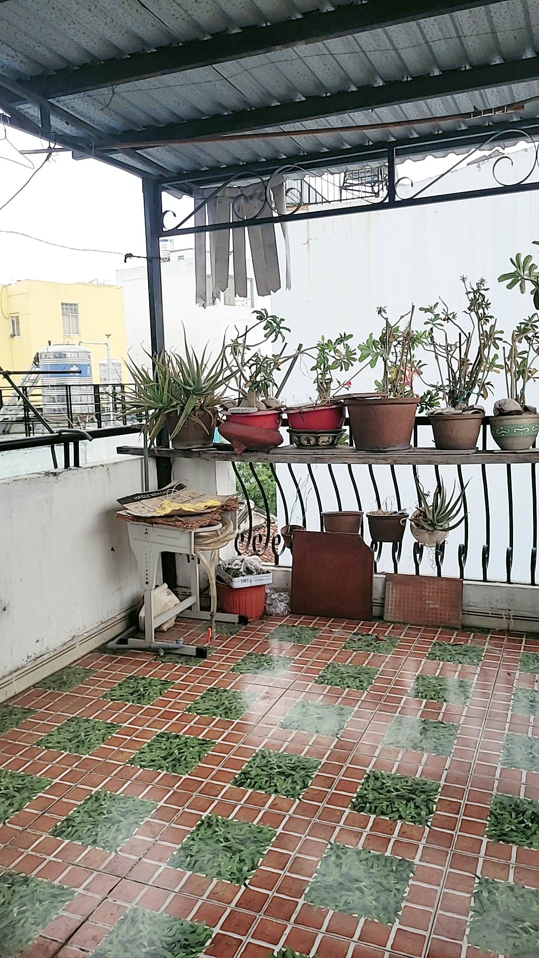 Bán nhà Quận 3 ngay Cách Mạng Tháng 8 giao Tô Hiến Thành, 5 tầng, 6PN, nở hậu, chỉ nhỉnh 6 tỷ

 13618315