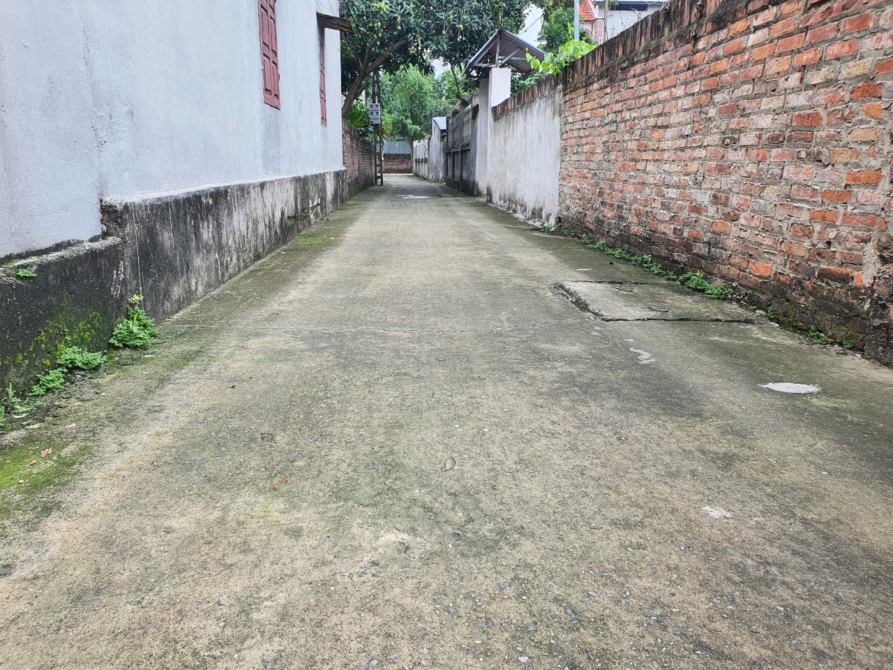 Hơn 500tr tại Sơn ĐOài-Tân Minh 54m phân lô MỚI ĐÉT ô tô vào đất. 13631967