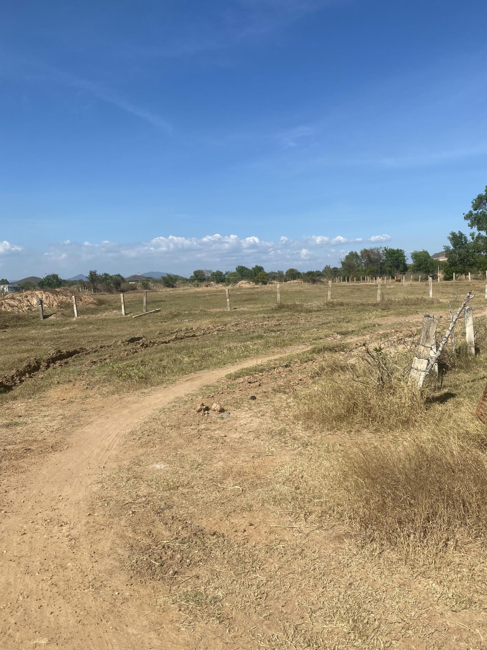 Bán 1285m2 đất vườn hồng liêm đường ô tô, cách điểm giao cao tốc vĩnh hảo - phan thiết thiết 4,5km giá 289tr cc ngay Lh 0938677909 zalo xem sổ 13638181