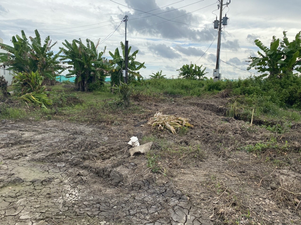 SỞ HỮU NGAY Lô Đất Đẹp Tại TP Cà Mau 13643502