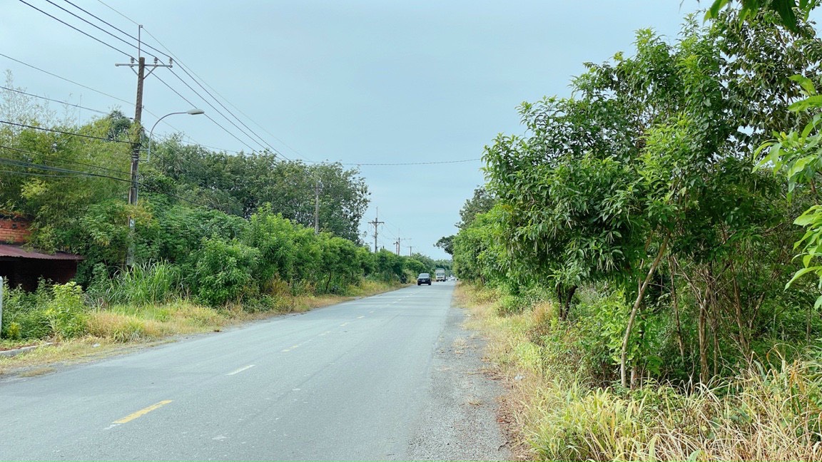 Bán đất MT Nguyễn Thị Rành, An Nhơn Tây, Củ Chi: 25 x 45, giá 8,3 tỷ 13652527