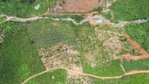 Chính Chủ Cần Bán Lô Đất Vị Trí Đẹp Tại Lâm Đồng 13652712