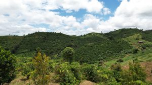 Chính Chủ Cần Bán Lô Đất Vị Trí Đẹp Tại Lâm Đồng 13652712