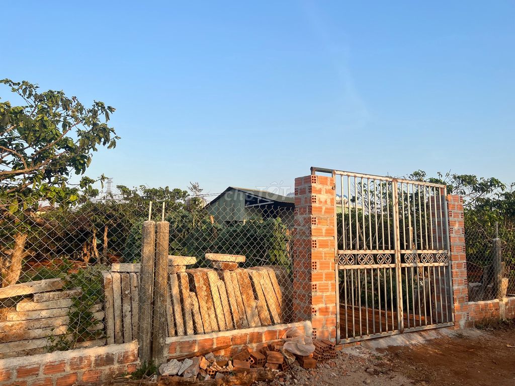 Chính chủ cần bán gấp đất rẫy Xã Ia Đêr, Huyện Ia Grai, Gia Lai 13672954