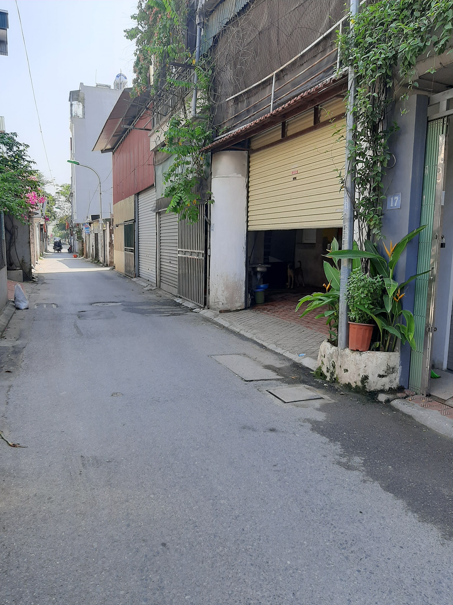 Bán Nhà Cấp 4 Cổ Linh, P. Thạch Bàn, Long Biên 52m2, giá 3,79 tỷ (Gần Cầu Vĩnh Tuy) 13699640