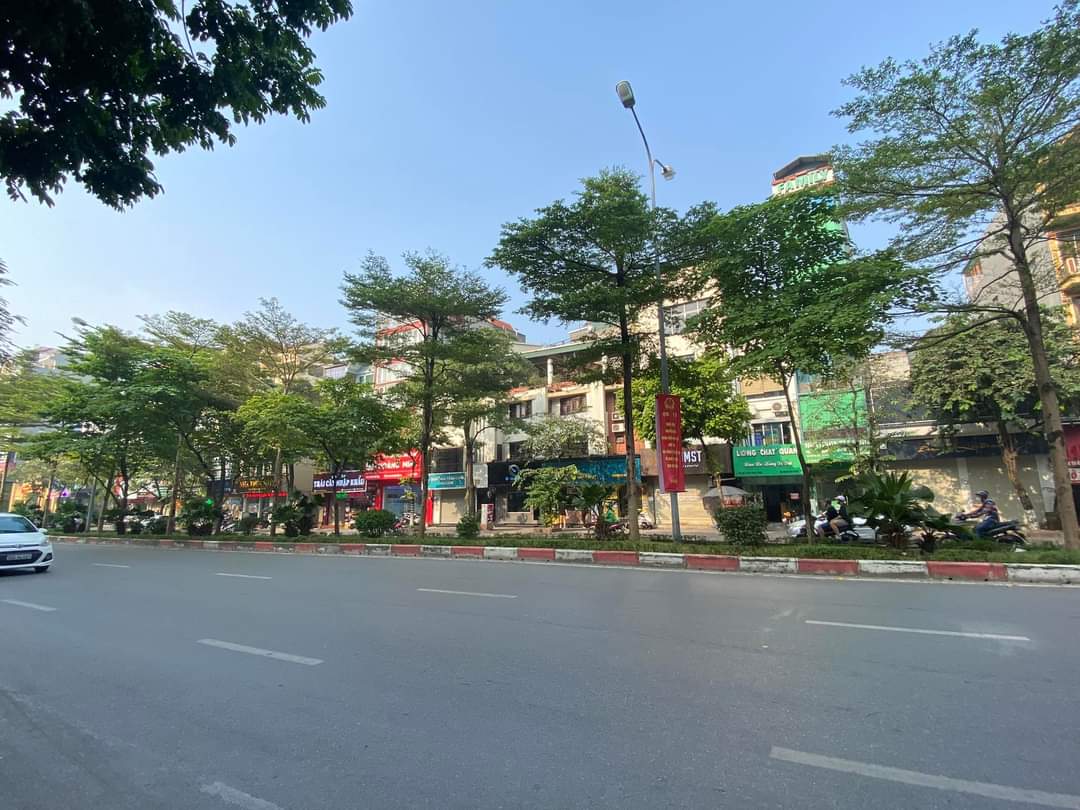 siêu VIP ! mặt phố trần thái tông 295m MT 12.8m vỉ hè đá bóng KD đỉnh. 13700486