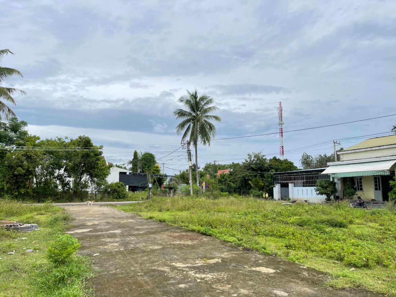 Bán Đất Diên Phước, Diên Khánh 2 Mặt Tiền Trước Sau Chỉ 850 Triệu 13732201