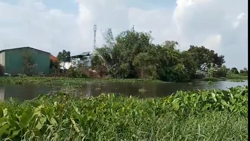 Bán đất Thới An - view sông Vàm Thuật - gần Lê Thị Riêng và UBND quận 12 13733775