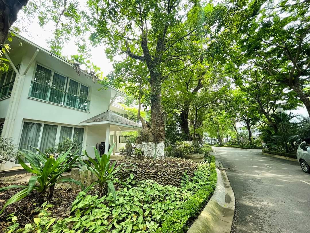 siêu đẹp! BT VƯỜN TÙNG ecopark hưng yên 337m 3t MT16m 41 TY 13737246