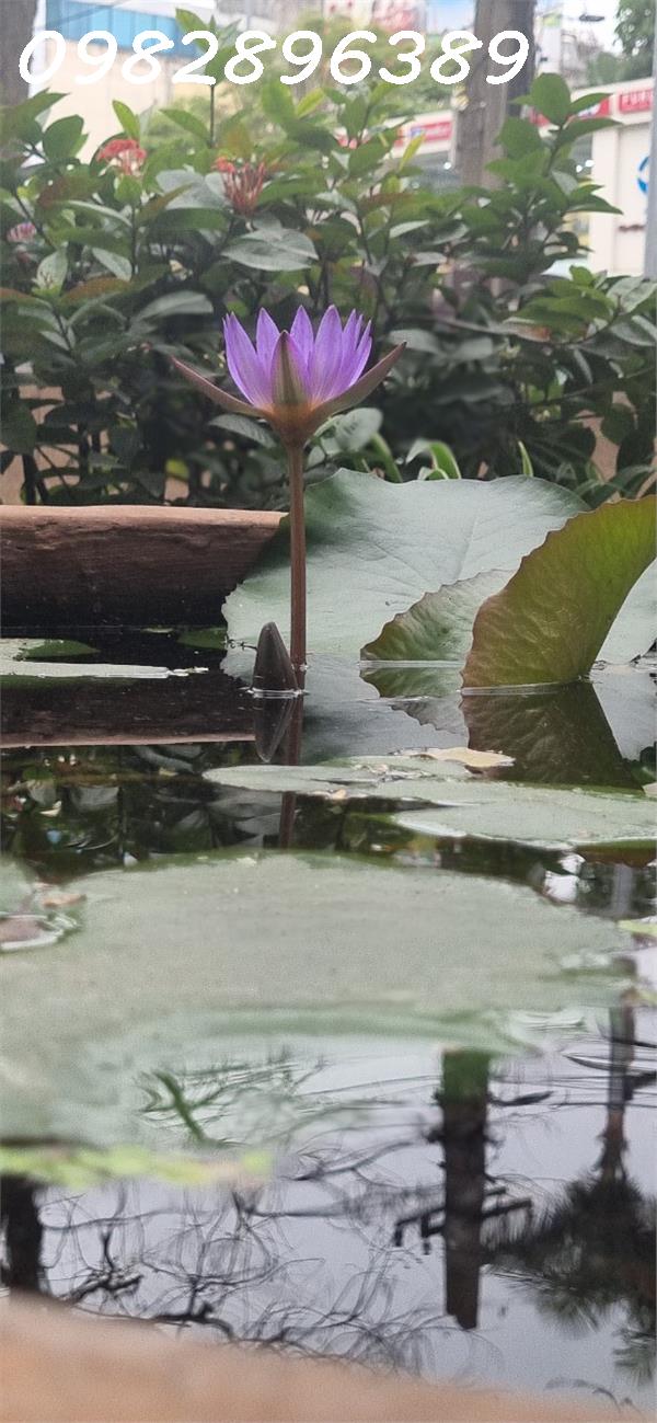 SIÊU VIP BIỆT THỰ NGUYỄN TRÁI 100M, Ô TÔ THANG MÁY KINH DOANH 22.5 TỶ. 13766995