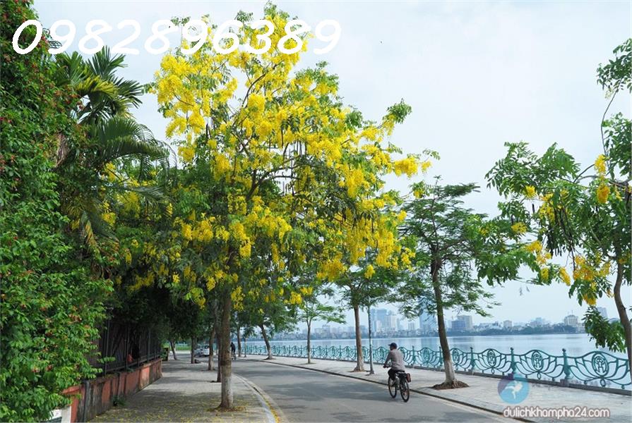 SIÊU VIP BIỆT THỰ NGUYỄN TRÁI 147M, Ô TÔ THANG MÁY KINH DOANH 27 TỶ. 13786831