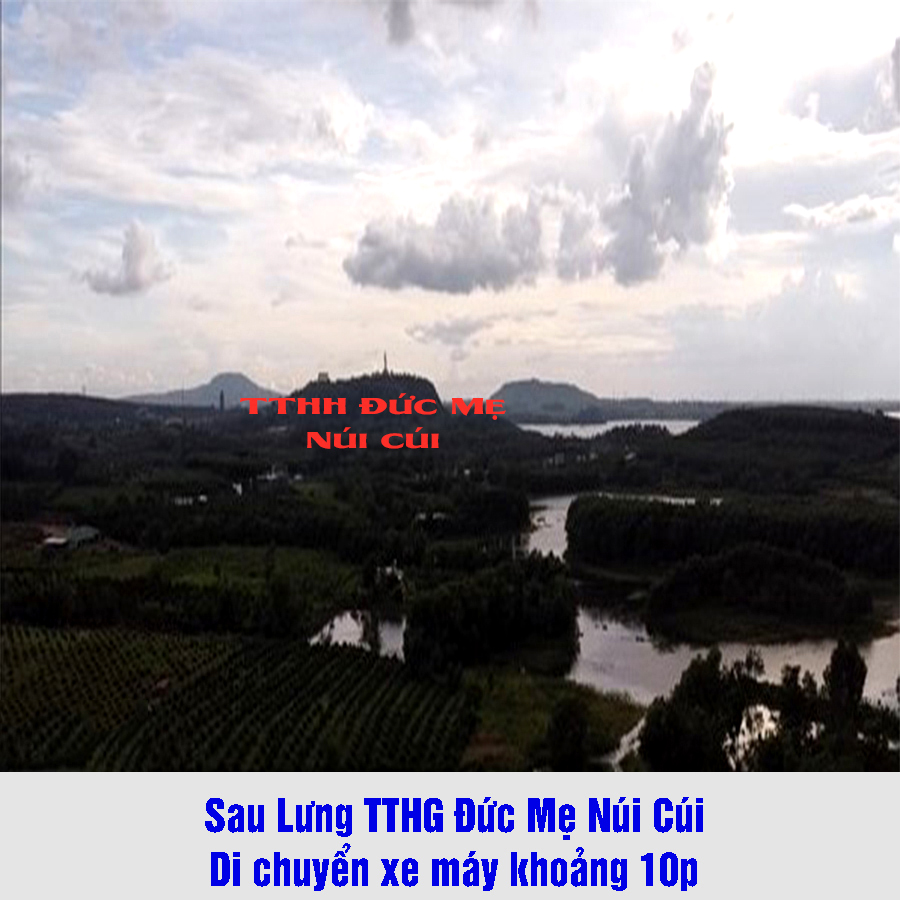 Cần bán 2 căn Nhà Nuôi ChimYến || Định Quán, Đồng Nai || Ngay cạnh hồ Trị An   13802760