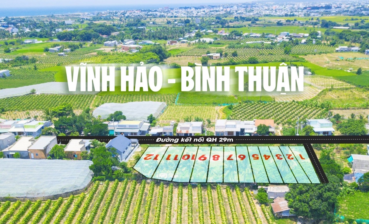 Đất ven biển Liên Hương, Bình Thuận giá sốc chỉ 750 triệu/ nền full thổ cư. 
 13802878