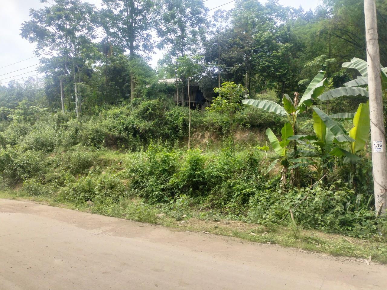 ĐẤT ĐẸP - GIÁ TỐT - Chính Chủ Cần Bán Lô Đất Tại Tân Lạc, Hoà Bình 13807560