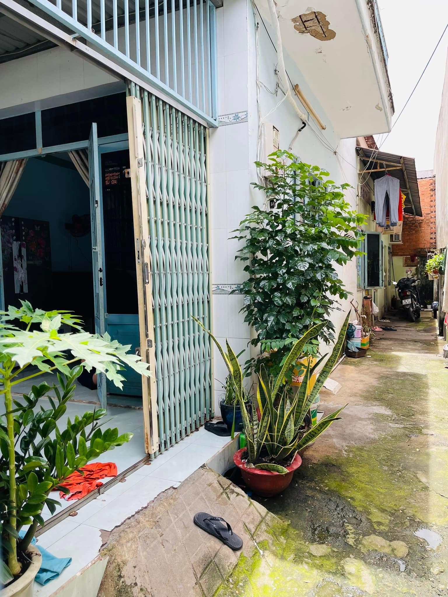 SIÊU PHẨM – 91M2 THỔ CƯ – NGANG 5.9M  - HẺM LỚN 1 XẸT-HUỲNH TẤN PHÁT PHƯỜNG PHÚ THUẬN QUẬN 7 13814162