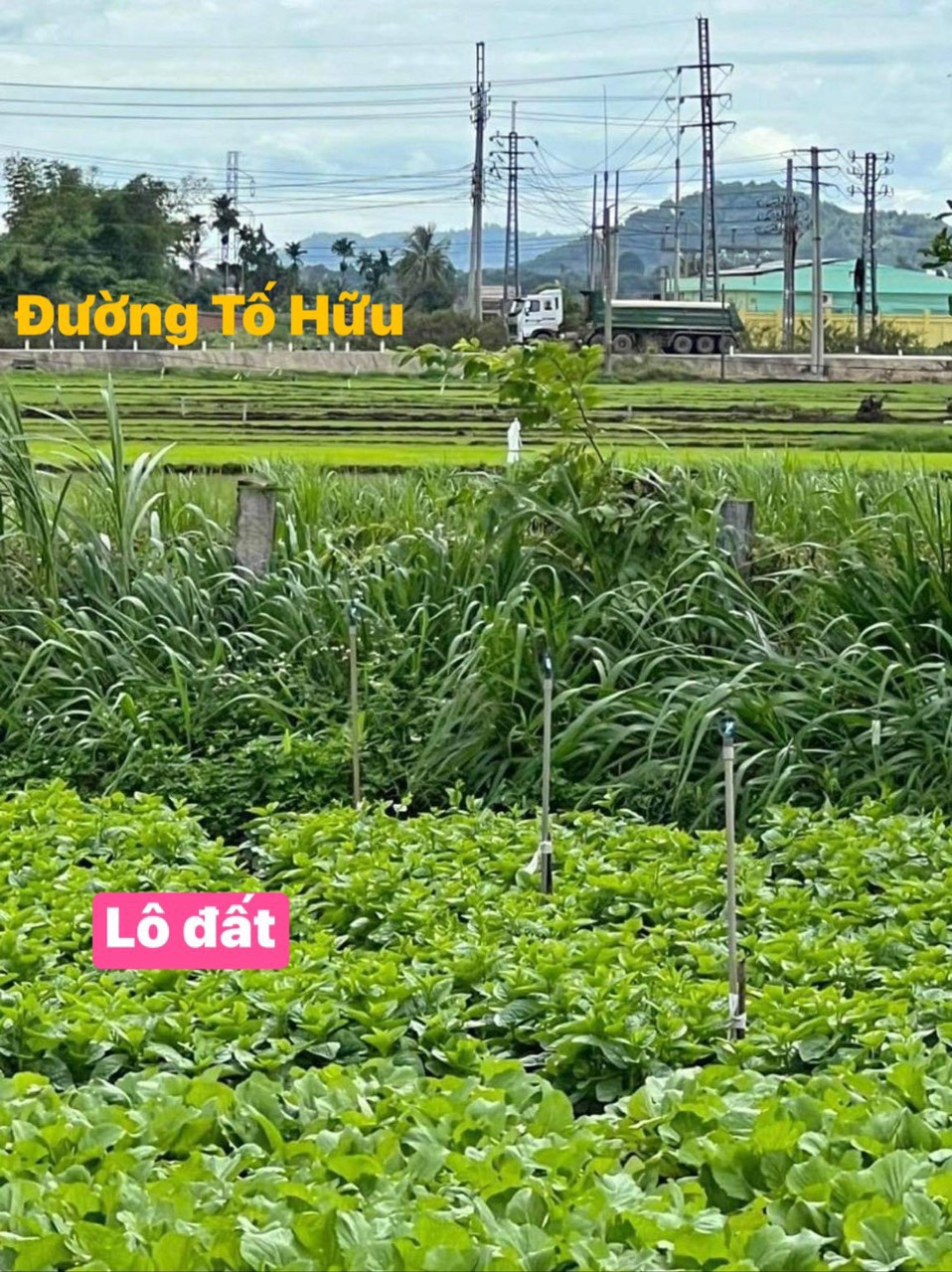 CHÍNH CHỦ CẦN BÁN NHANH Lô Đất Đẹp tại TP Buôn Ma Thuột , tỉnh Đắk Lắk 13828413