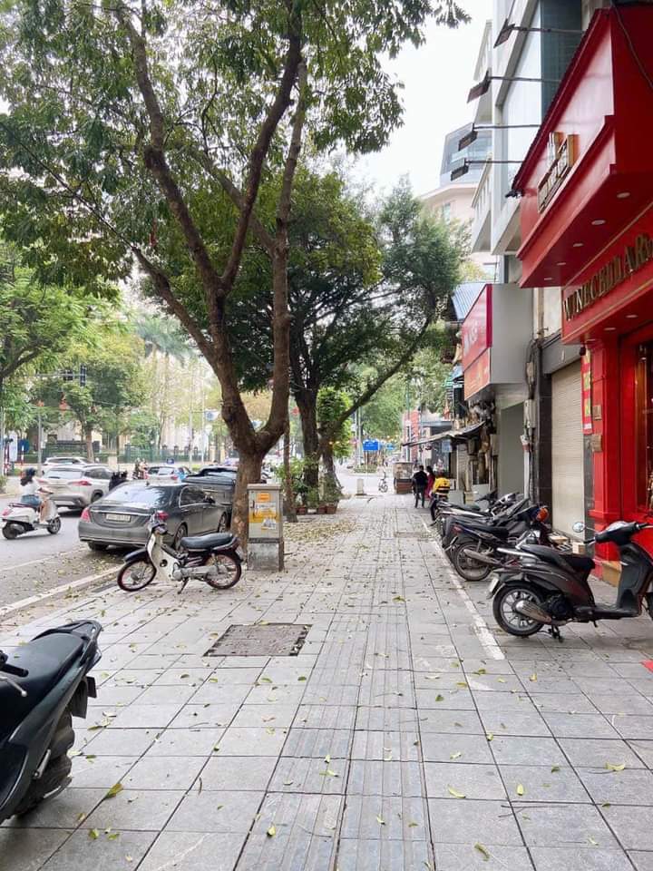 MP PHAN CHU TRINH, HOÀN KIẾM, KINH DOANH SẦM UẤT, 110M² * 9 TẦNG THANG MÁY, HẠ CHÀO RẤT SÂU, CHỦ THIỆN CHÍ BÁN ‼️‼️ 13832693