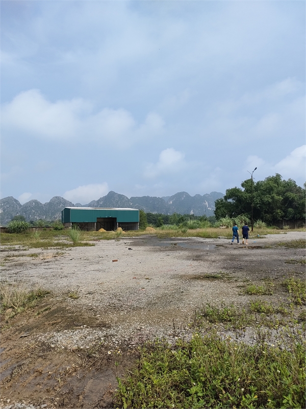Bán 15ha đất kho nhà xưởng 50 năm tại Huyện Cẩm Giàng, Tỉnh Hải Dương 13836340