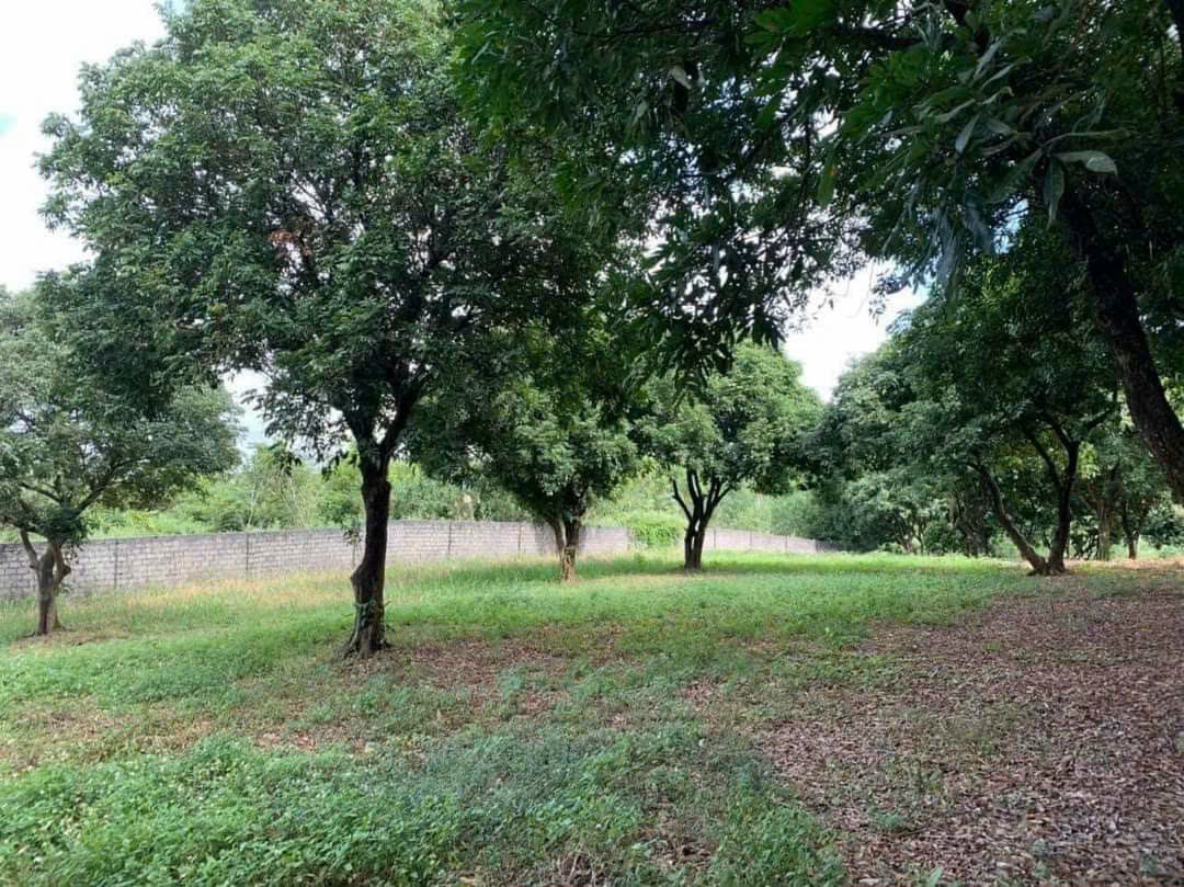 HIẾM CÓ KHÓ TÌM 5500M2 800 THỔ CƯ CẠNH SÂN GOLF SKY LAKE GIÁ RẺ 13849869