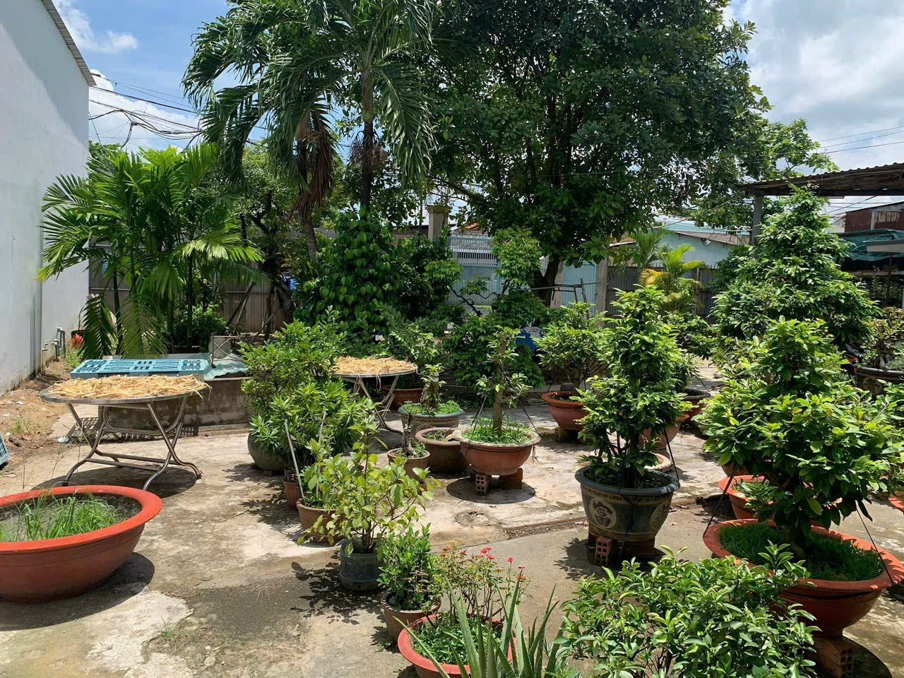 LÔ ĐẤT ĐẸP ĐẶNG THÚC VỊNH ĐÔNG THẠNH-MẶT TIỀN ĐƯỜNG 8M - 400M NHỈNH 7 TỶ. 13862982