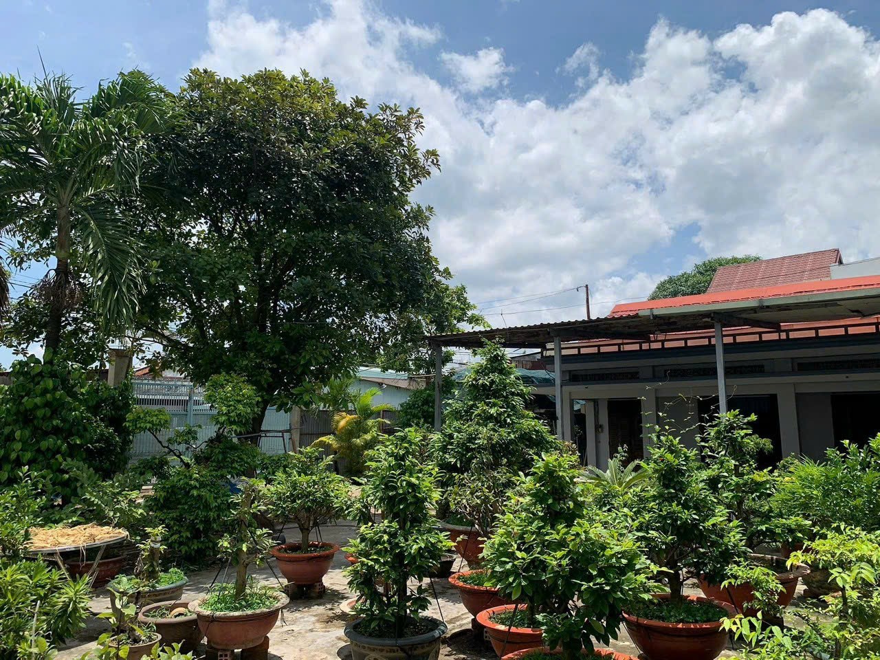 LÔ ĐẤT ĐẸP ĐẶNG THÚC VỊNH ĐÔNG THẠNH-MẶT TIỀN ĐƯỜNG 8M - 400M NHỈNH 7 TỶ. 13862982