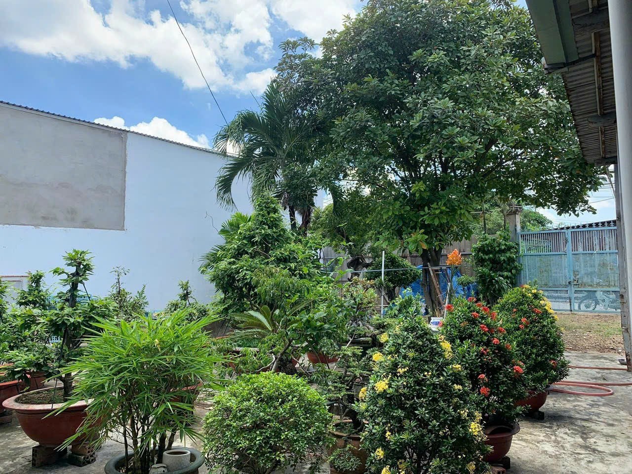 LÔ ĐẤT ĐẸP ĐẶNG THÚC VỊNH ĐÔNG THẠNH-MẶT TIỀN ĐƯỜNG 8M - 400M NHỈNH 7 TỶ. 13862982