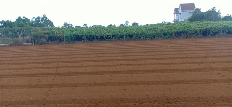 Bán 5.000m2 đất kho nhà xưởng tại Cụm công nghiệp Ninh Hiệp, Gia Lâm, TP Hà Nội. 13863722