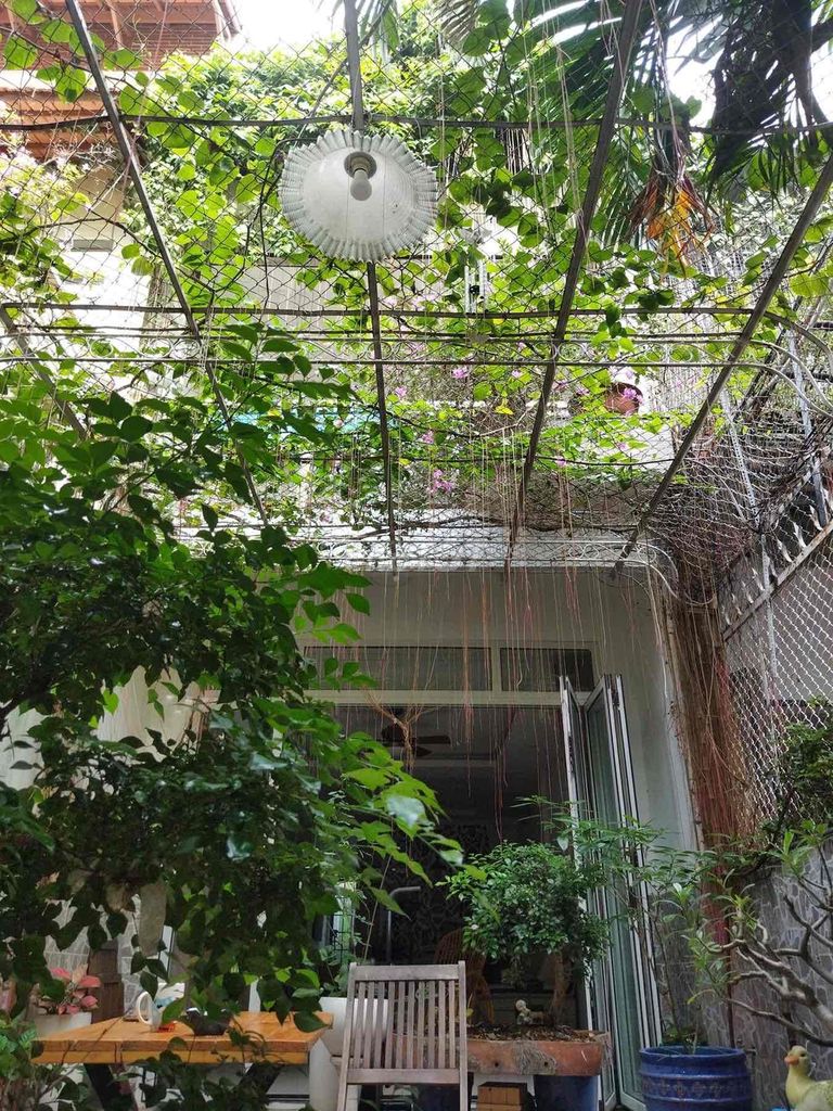 Cho thuê nhà nguyên căn sân rộng, nở hậu – P.11, Phú Nhuận 13868310