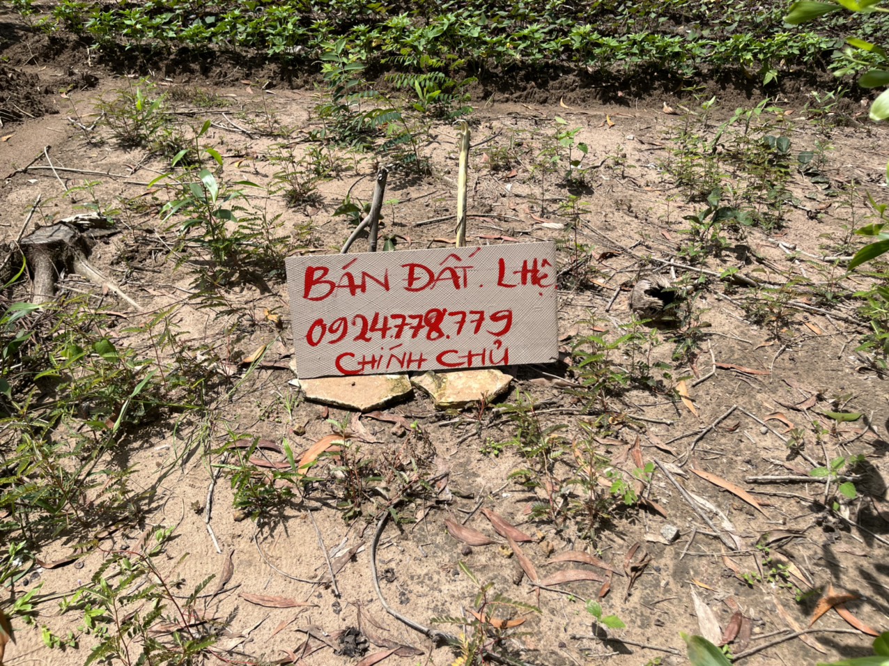 Chính chủ cần bán đất nền tại Thuộc xã Tân Hiệp, Huyện Phú giáo, Tỉnh Bình Dương 13877680