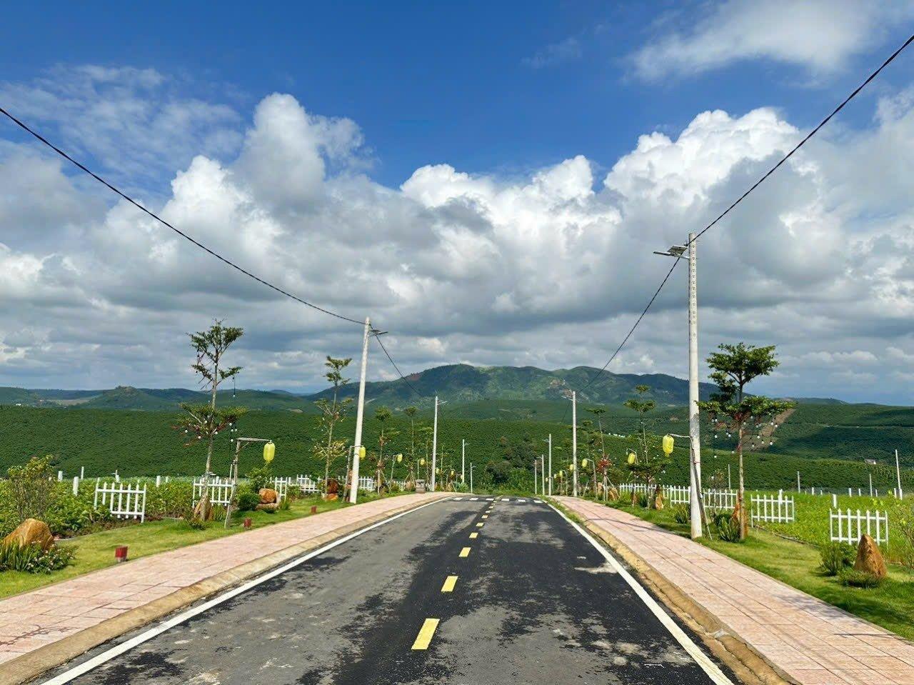 Đầu Tư Đất Thổ cư, Sổ sẵn TP Bảo Lộc, Gần Ngay Nút Giao Cao Tốc Dầu Giây-Liên Khương 13880116